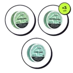 Z Pouches Fresh Pack 21mg — Peppermint, Wintergreen & Cool Mint — nicotine pouch bundle