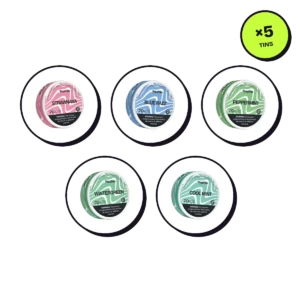Z Pouches Sampler — 5 Flavours 21mg — nicotine pouch bundle